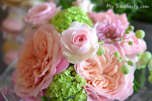 家の中を壊すかも？癒し系女子のシンプルライフ