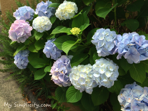 ミニマリストのお誘い言葉、シンプルライフを楽しくするために