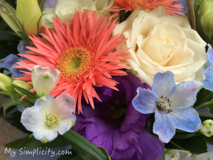 ミニマリスト、汚名返上するの巻き！