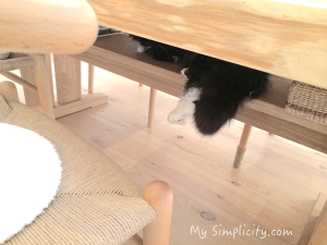 ミニマリストを叩く人の正体は！？超シンプルライフな黒猫に癒されながら、犯人を暴く