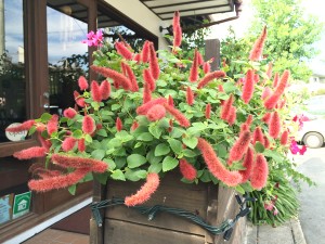 断捨離はゆっくりでも大丈夫、部屋のスッキリさはオーラに現れ心身にも影響があるってほんと！？