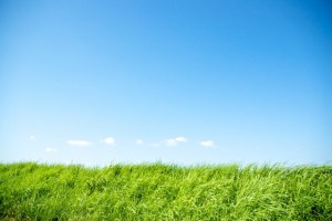 うちはミニマリストじゃないよね、と夫が言ったのはアノ人の家を見たから。ミニマルライフにとっての方向性の大切さとは！？