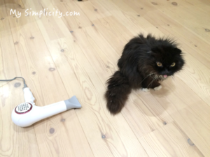 整形いらず、これを使えば目尻がキュッと上がり髪はサラサラってホント！？