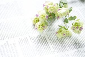 おすすめ健康ハーブ３選→みのもんたお勧め、無病息災ハーブ、殺菌力あり芳香ハーブ