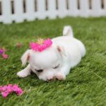 欲しいものを手にいれるために、どっちつかずのモノを手放す